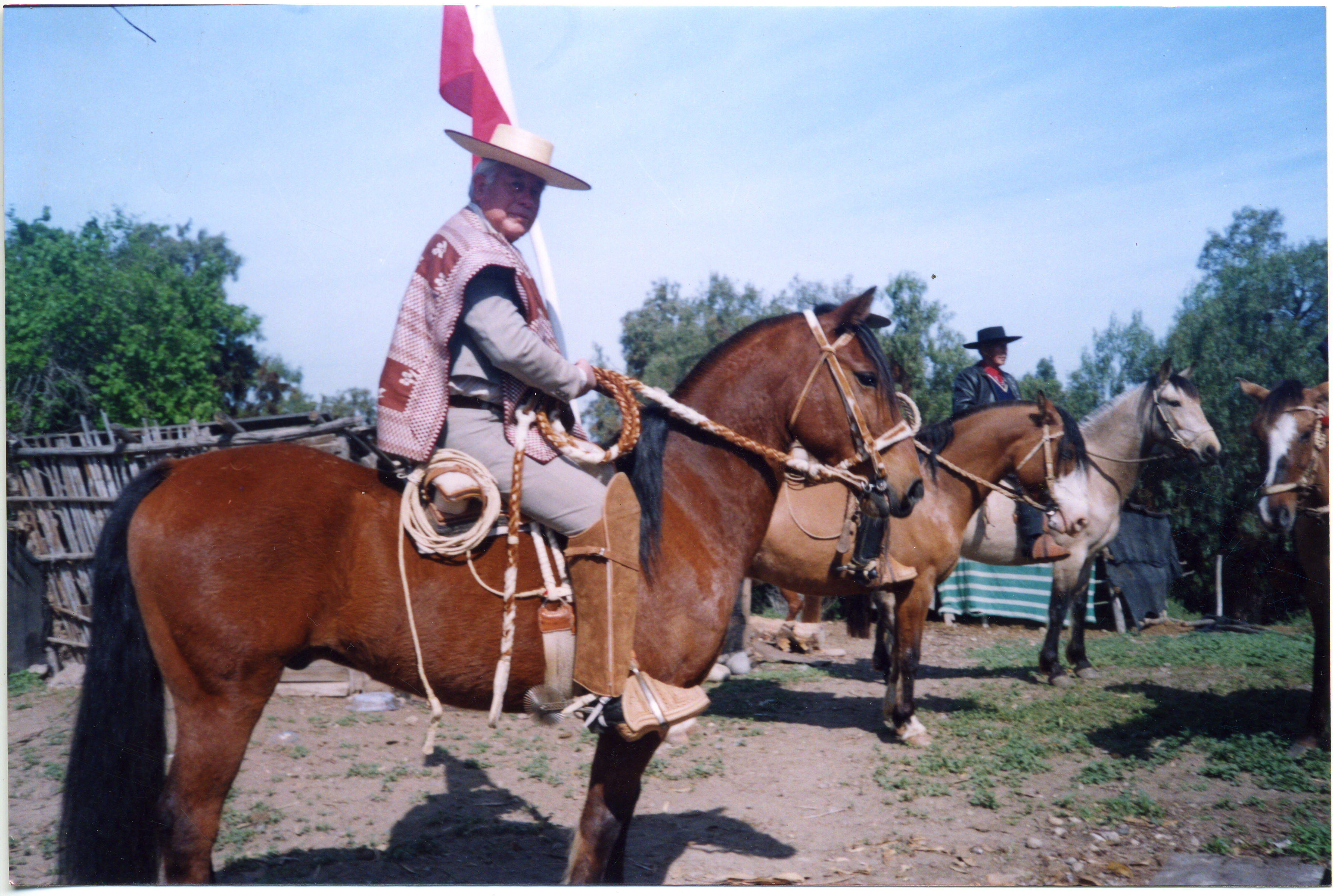 Desfile de fiestas patrias