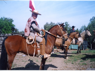 Desfile de fiestas patrias