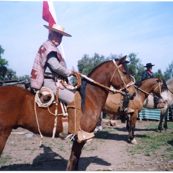 Desfile de fiestas patrias