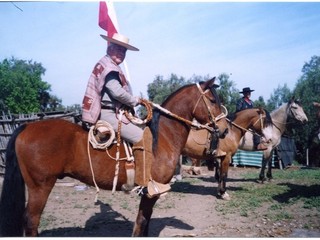 Desfile de fiestas patrias