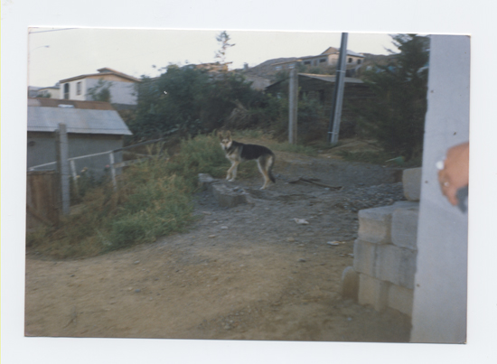 Calle de Andacollo