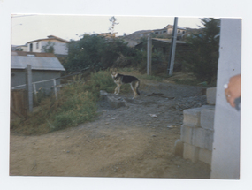 Calle de Andacollo