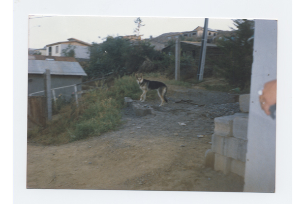 Calle de Andacollo