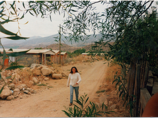 Calle Santa Rosa