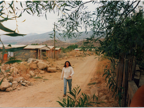 Calle Santa Rosa