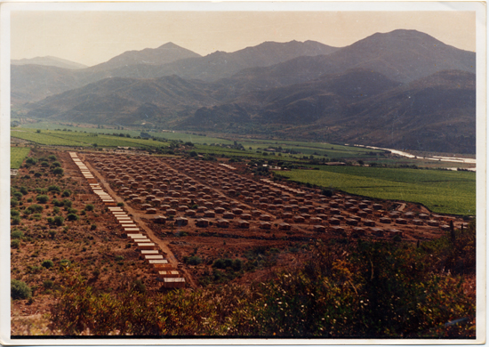 Panorámica de la Villa El Palqui