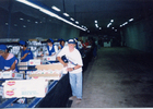 Faena en el packing Faena en el packing