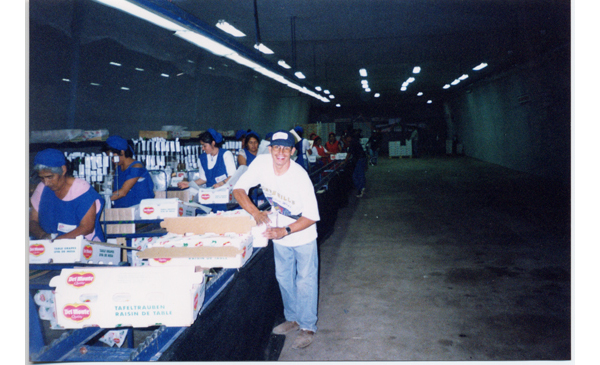 Faena en el packing Faena en el packing