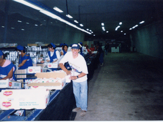 Faena en el packing Faena en el packing