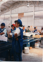 Faena en el packing Faena en el packing