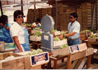 Trabajo en el packing Trabajo en el packing