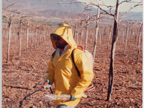 Faena agrícola