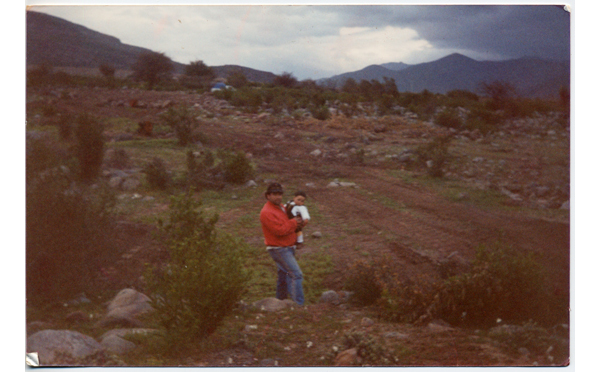 Terrenos de Villa El Palqui