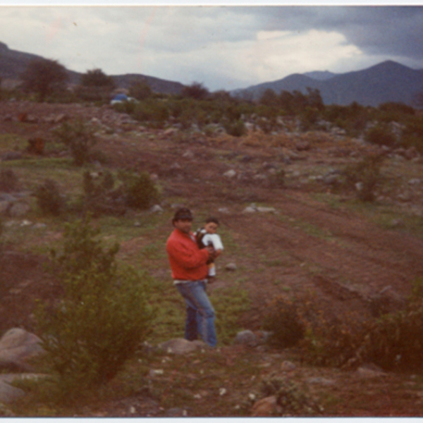 Terrenos de Villa El Palqui