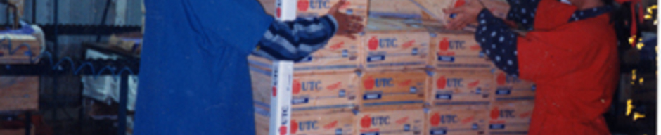 Faena en el packing Faena en el packing