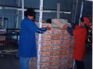 Faena en el packing Faena en el packing