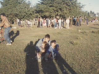 Niños Niños