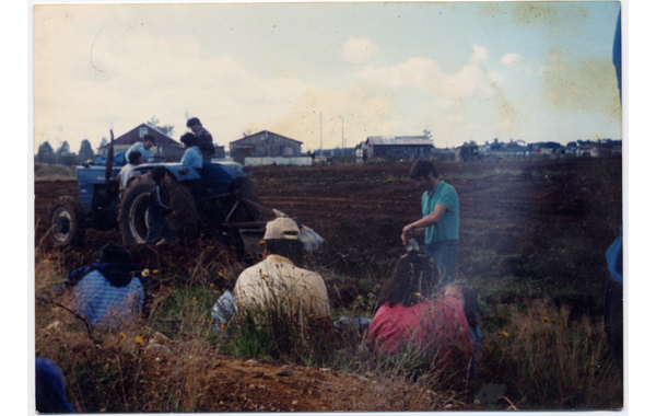 Construcción de cancha en la población Pantanosa