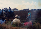 Construcción de cancha en la población Pantanosa
