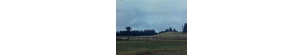 Cancha de fútbol