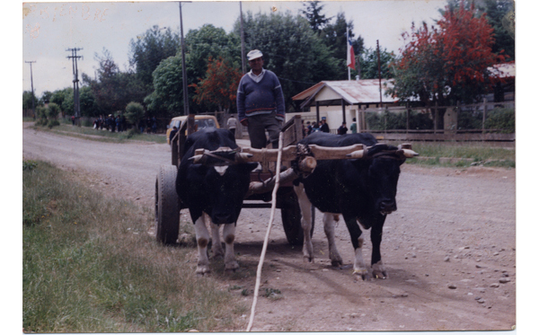 Carreta con bueyes