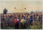 Mujeres en la huerta Mujeres en la huerta