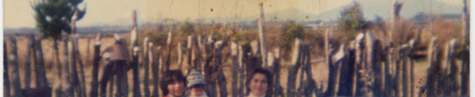 Mujeres en la huerta Mujeres en la huerta