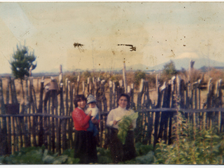 Mujeres en la huerta