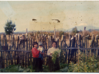 Mujeres en la huerta