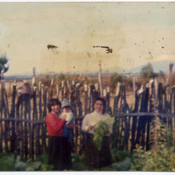 Mujeres en la huerta