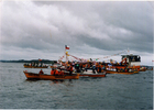 Procesión de San Pedro