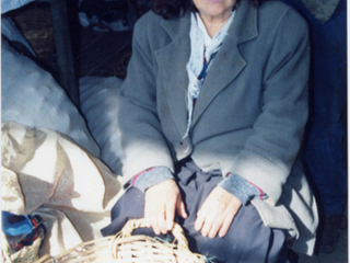 Vendedora de la feria Vendedora de la feria