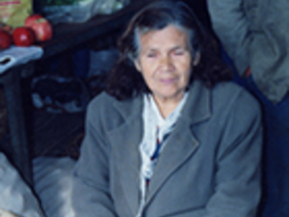 Vendedora de la feria Vendedora de la feria