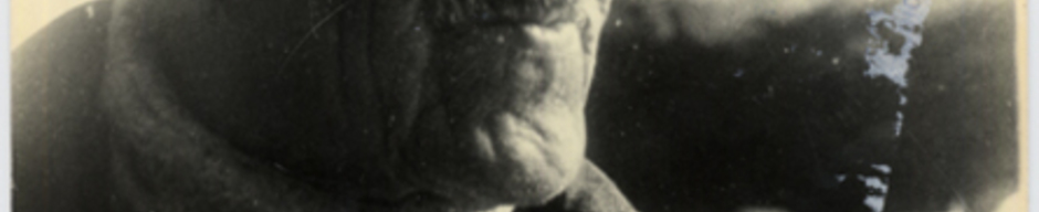 Ismael Ralil Ismael Ralil