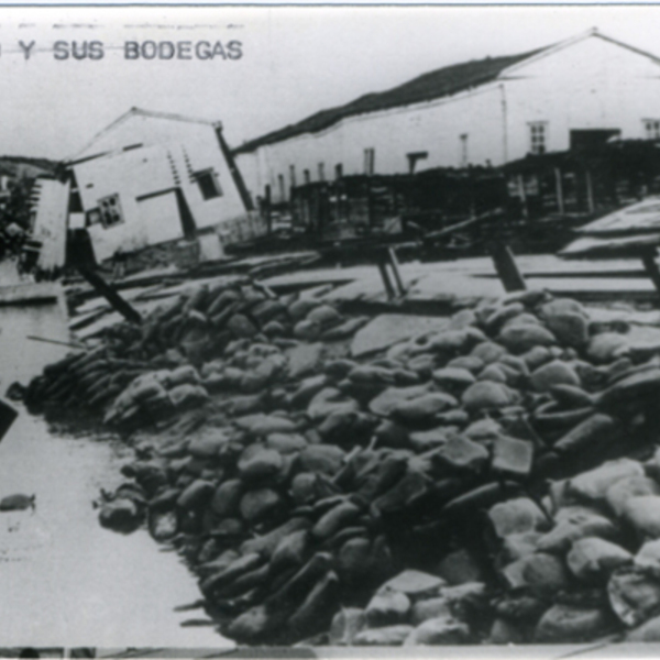 Ruinas del puerto y sus bodegas