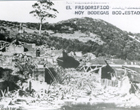 Consecuencias del terremoto Consecuencias del terremoto