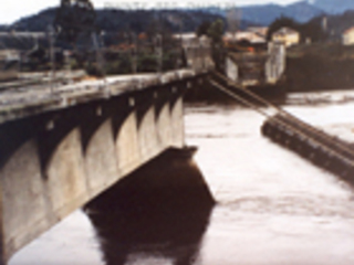 Puente del río Chamiza