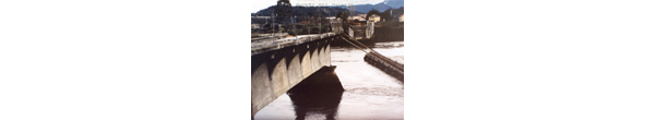 Puente del río Chamiza