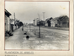 Calle Tomás Burgos