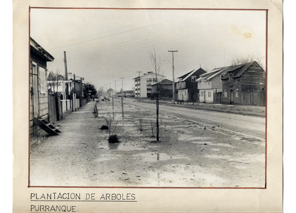 Calle Tomás Burgos