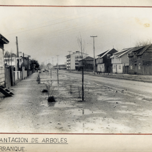 Calle Tomás Burgos