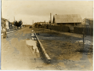 Pavimentación de calle Pavimentación de calle
