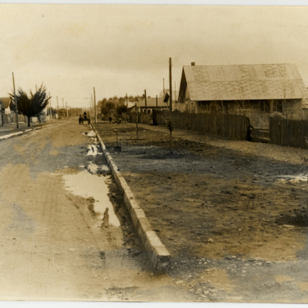 Pavimentación de calle