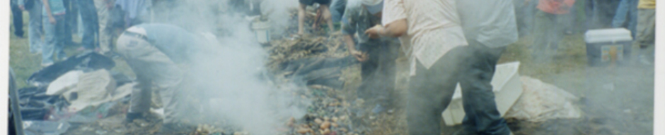 Preparación de curanto