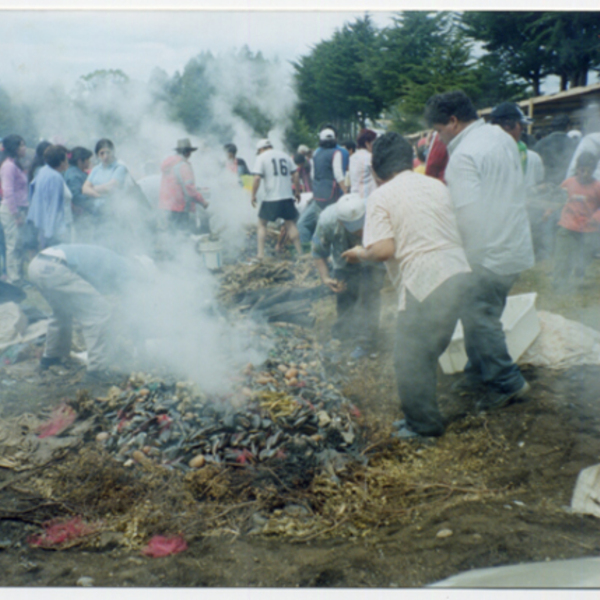 Preparación de curanto