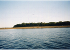 Isla Helvecia Isla Helvecia