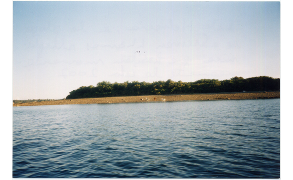 Isla Helvecia Isla Helvecia