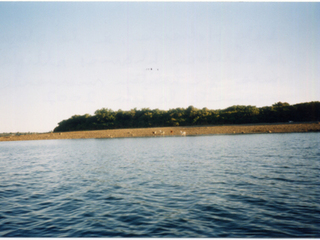 Isla Helvecia Isla Helvecia