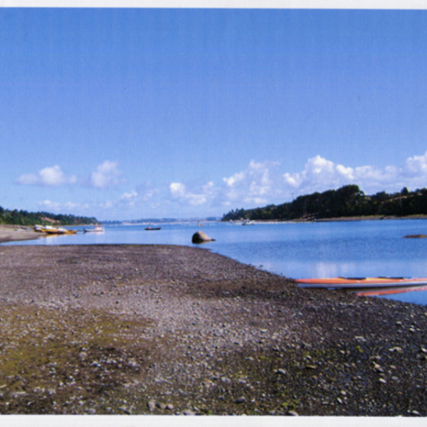 Canal de la isla Chofe