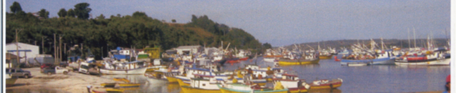 Panorámica del sector Yahuecha